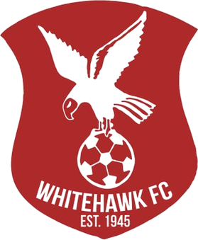 Whitehawk